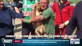 #Magnien: coincé dans une canalisation, le chien Billy est sauvé / Rends un titre de film malade