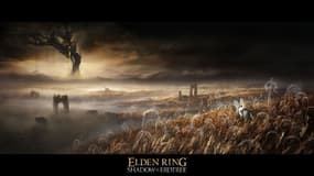 L'image d'annonce de l'extension du jeu vidéo Elden Ring: Shadow of the Erdtree