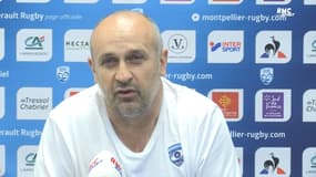 Top 14 : "On a tout à gagner, rien à perdre", assure Saint-André
