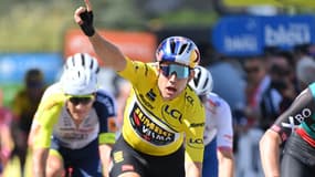 W. Van Aert