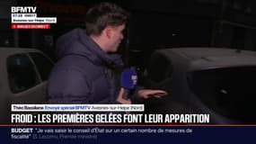 À Avesnes-sur-Helpe, dans le Nord, les premières gelées font leur apparition