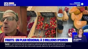 Agriculture: les producteurs de fruits du Rhône inquiets face à la sécheresse