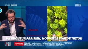 #Magnien, la chronique des réseaux sociaux : Un éboueur parisien, nouvelle star de TikTok - 02/02