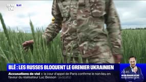 Les exportations de blé ukrainien bloquées par l'armée russe