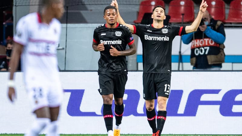 Bayer-Nice