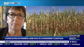 Christiane Lambert (FNSEA) : L'agriculture en première ligne face au changement climatique - 09/08