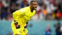 Steve Mandanda avec l'équipe de France en novembre 2022