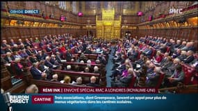 Brexit: les sénateurs britanniques doivent se prononcer d’ici dimanche 