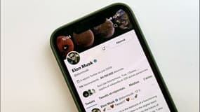 Rachat de Twitter: qu'est-ce que va faire Elon Musk ?