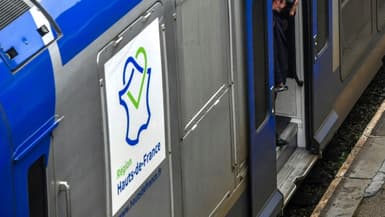 Un TER à la gare d'Hazebrouck, dans le Nord, le 20 février 2018