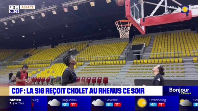 Coupe de France: la Sig reçoit Cholet au Rhenus pour une place en quart