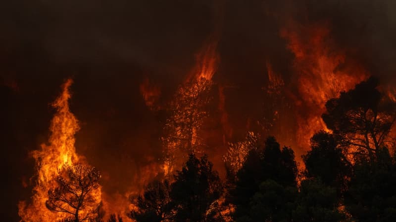 Incendies en Grèce: situation "extrêmement difficile" en raison de vents violents