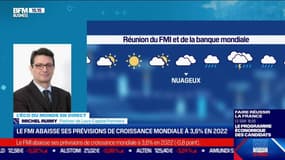 Michel Ruimy (Levy Capital Partners) : la FMI abaisse ses prévisions de croissance mondiale à 3,6% en 2022 - 19/04