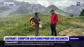 Du tourisme scientifique au Lautaret: compter les fleurs pour ses vacances