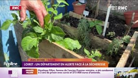 Loiret : un département en alerte face à la sécheresse