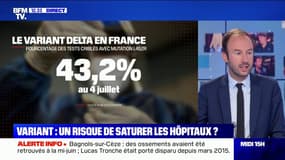 Où se propage le variant Delta en France ?