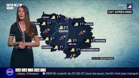 Météo Paris-Ile de France du 12 février: Le froid polaire se poursuit