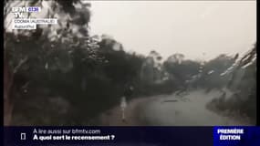 En Australie, la pluie tombe enfin et calme les incendies en Nouvelle-Galles-du-Sud