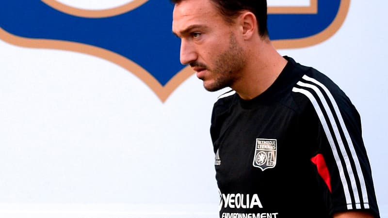 Steed Malbranque