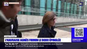 L'Havraise Agnès Firmin le Bodo épinglée pour des cadeaux reçus d'un laboratoire