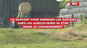 Camille alerte sur la situation alarmante des agriculteurs en France après le suicide de son mari