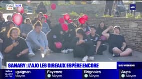 Sanary-sur-Mer: manifestation contre la fermeture du centre "Les oiseaux"