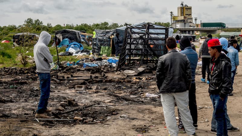 Un camps de migrants à Calais le 1er juin.