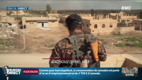 Syrie: ultimes combats contre Daech qui ne contrôle plus qu'un demi-kilomètre carré