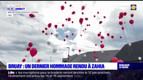 Féminicide à Bruay-sur-l'Escaut: des dizaines de personnes réunies pour un lâcher de ballons en hommage à Zahia