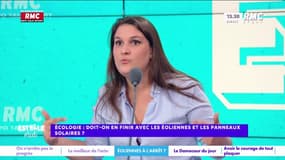 Arrêter les éoliennes : "Il faut se débarrasser de toutes les lubies écolos", estime Juliette Briens