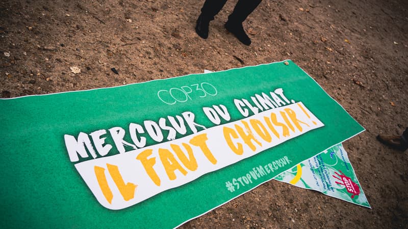 Déforestation, différences de normes... Pourquoi l'accord avec le Mercosur inquiète aussi les défenseurs du climat