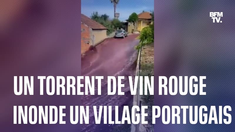 Portugal: les images impressionnantes d'un torrent de vin rouge inondant un village