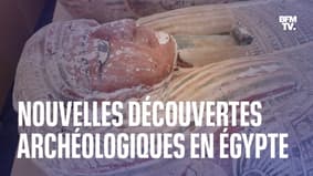 250 sarcophages, 150 statues... Les images d'une nouvelle découverte à Saqqarah en Égypte
