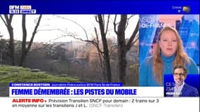 Femme retrouvée démembrée aux Buttes-Chaumont: les pistes du mobile du crime