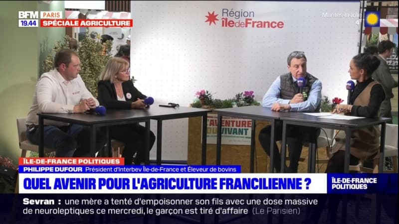 Sécheresse en Île-de-France: quel impact sur les élevages bovins?