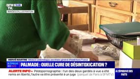 Palmade : quelle cure de désintoxication ? - 25/02