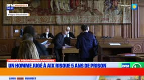 Un homme jugé à Aix dès aujourd'hui pour achat et détention d'une poupée pédopornographique