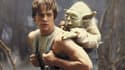 Yoda formule des conseils de vie à Luke Skywalker qui s'avèrent tout aussi pratiques au bureau.