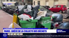 Paris: grève de la collecte des déchets, 10 arrondissements concernés