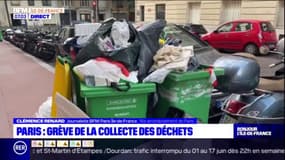 Paris: grève de la collecte des déchets, 10 arrondissements concernés