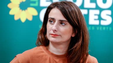 La secrétaire nationale des Écologistes, Marine Tondelier, le 15 février 2024. (Photo d'archive)
