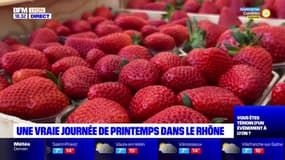 Une vraie journée de printemps dans le Rhône