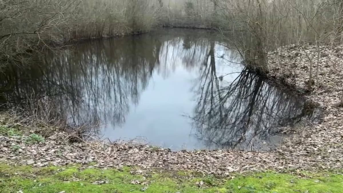 placeholder video