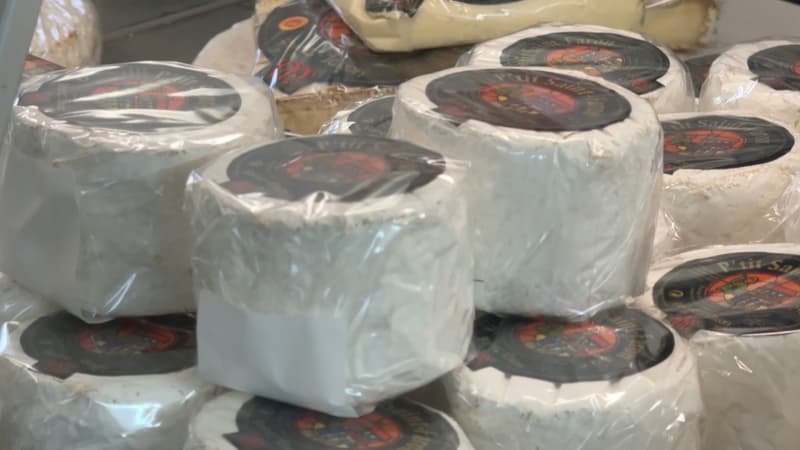 Fondant, crémeux, onctueux: le P'tit Saint-Faron de Meaux sacré meilleur fromage du monde