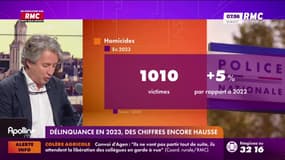 Expliquez-nous - Délinquance en 2023, des chiffres encore en hausse