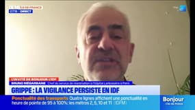 Épidémie de grippe Île-de-France: un taux de vaccination insatisfaisant