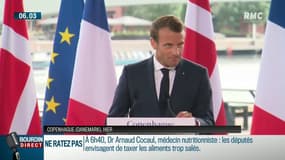 Au Danemark, Emmanuel Macron parle des Français comme des "Gaulois réfractaires au changement"