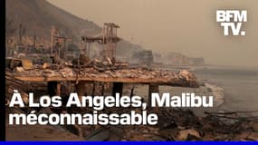  Incendies à Los Angeles: les images des dégâts considérables 