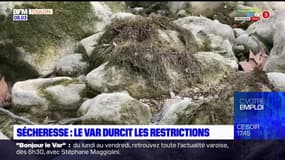 Var: renforcement des restrictions contre la sécheresse