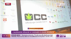 L'Allemagne légalise le cannabis à usage récréatif